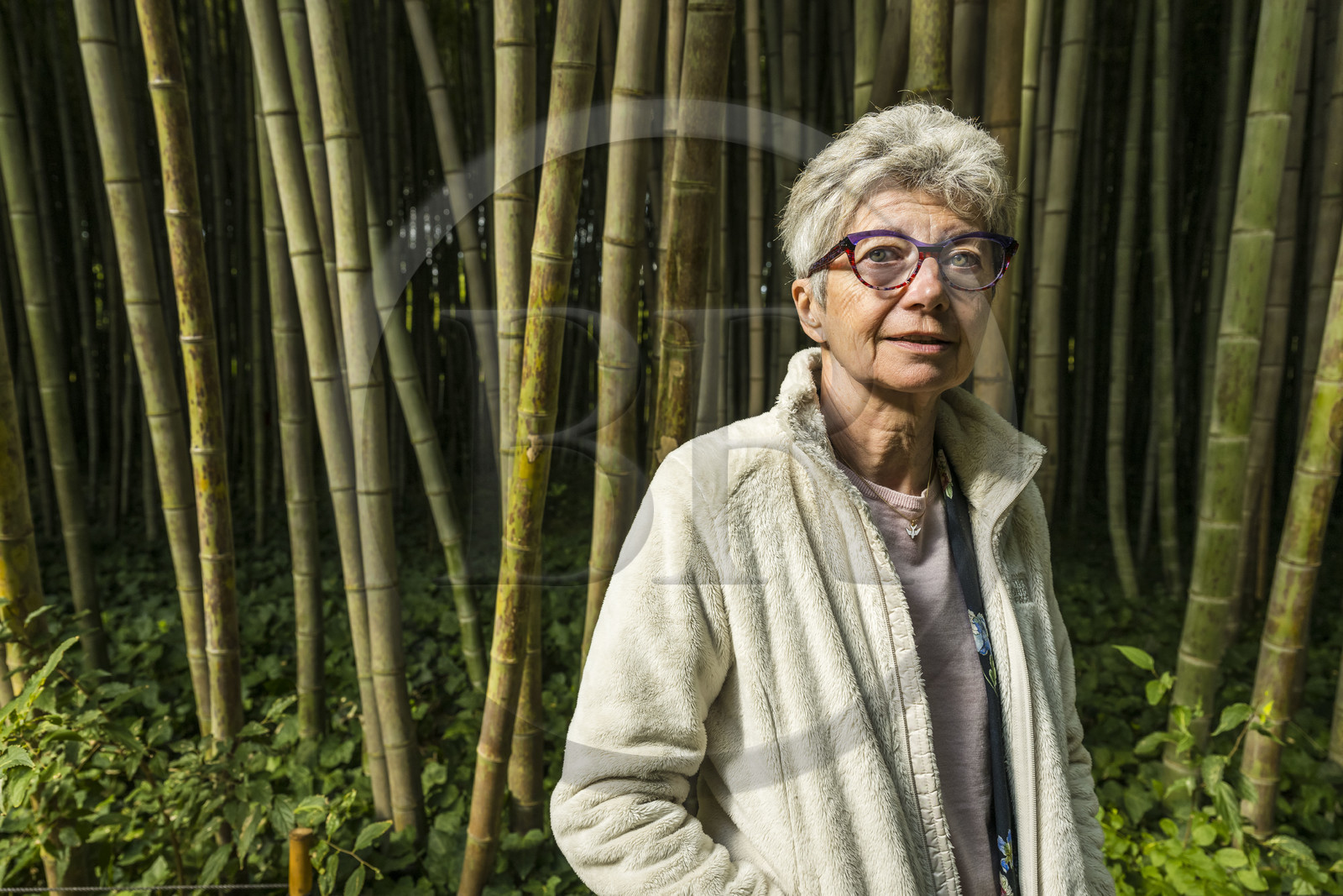 France, Gard, Generargues towards Anduze, Bambouseraie en Cévennes (Bamboo garden), President and Director Muriel Nègre