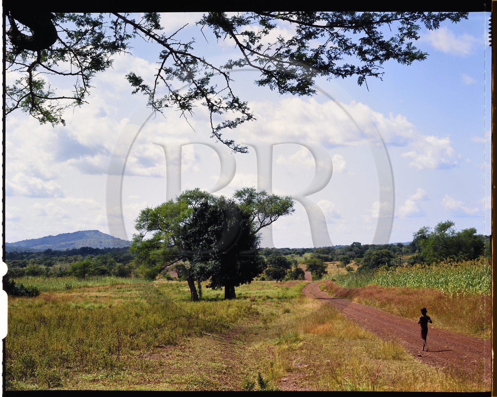 Burkina Faso, province de Poni, pays des Lobi, sur la piste de Gaoua à Loropéni