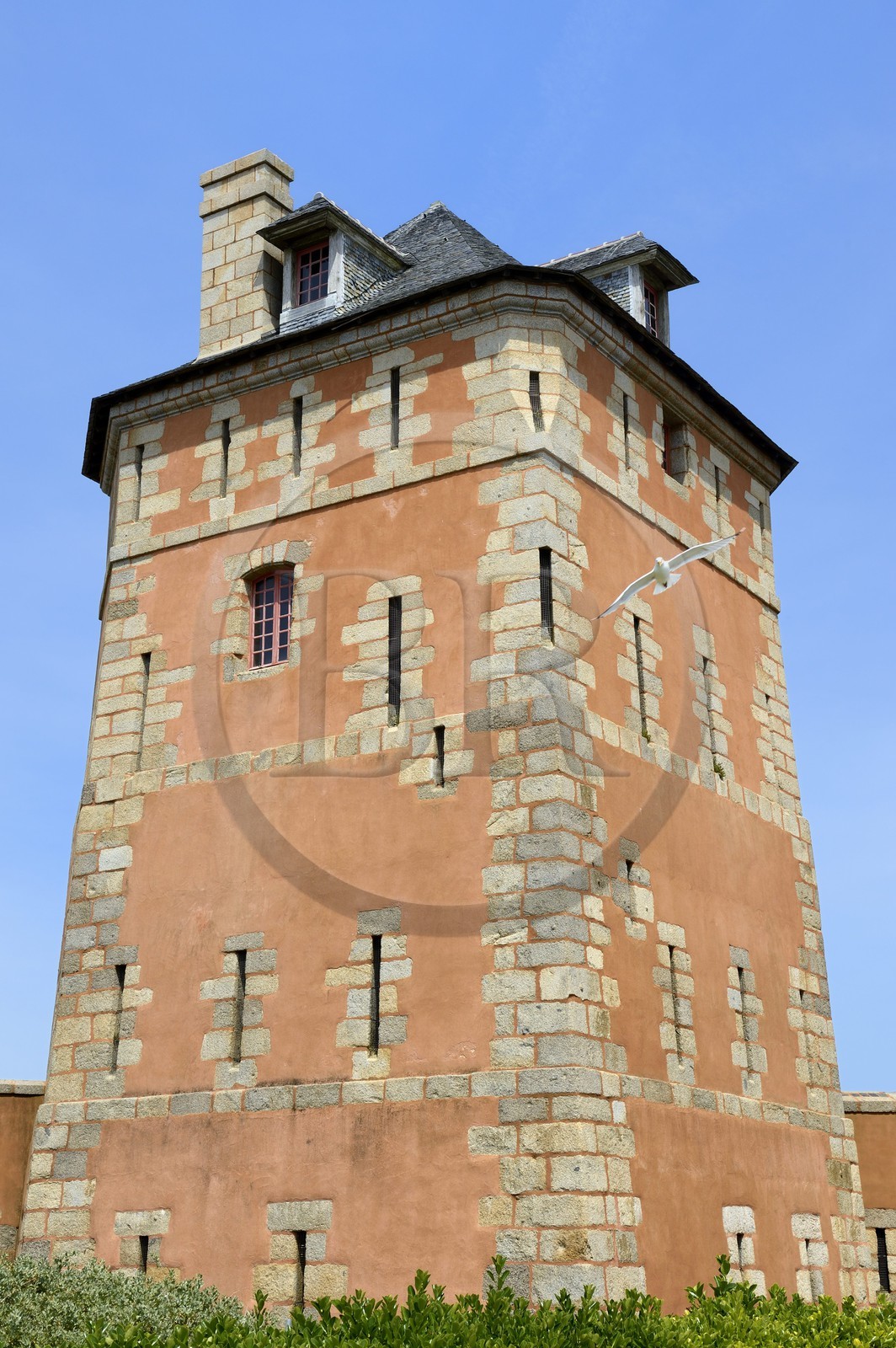 France, Finistère (29), , Mer d'Iroise, parc naturel régional d'Armorique, Presqu'île de Crozon, Camaret-sur-Mer, la tour Vauban classée au Patrimoine mondial de l'UNESCO, tour polygonale défensive construite sur un plan de Vauban au XVIIe siècle