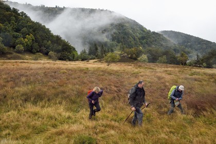 France, Vosges (88), Parc naturel régional des ballons des Vosges, Saint-Maurice-sur-Moselle, chaume des Neuf Bois, randonneurs en bordure de la tourbière entouré par la foret