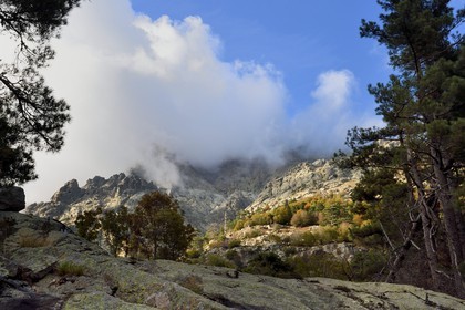 France, Haute Corse, Vivario, hiking on the GR 20, between Onda refuge and Vizzavona, Vizzavona forest, Englishmen cascades, waterfalls group in the Agnone valley under the Monte d'Oro