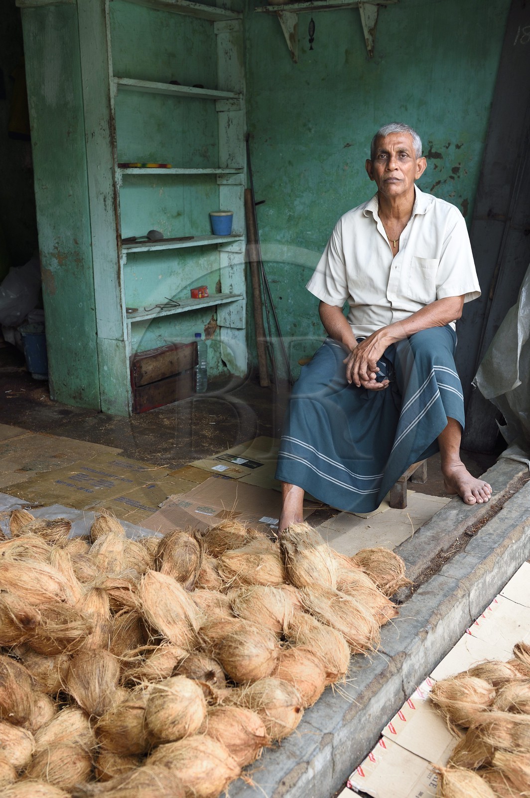 Sri Lanka, Eastern Province, Trincomalee, the covered market, Coconut seller