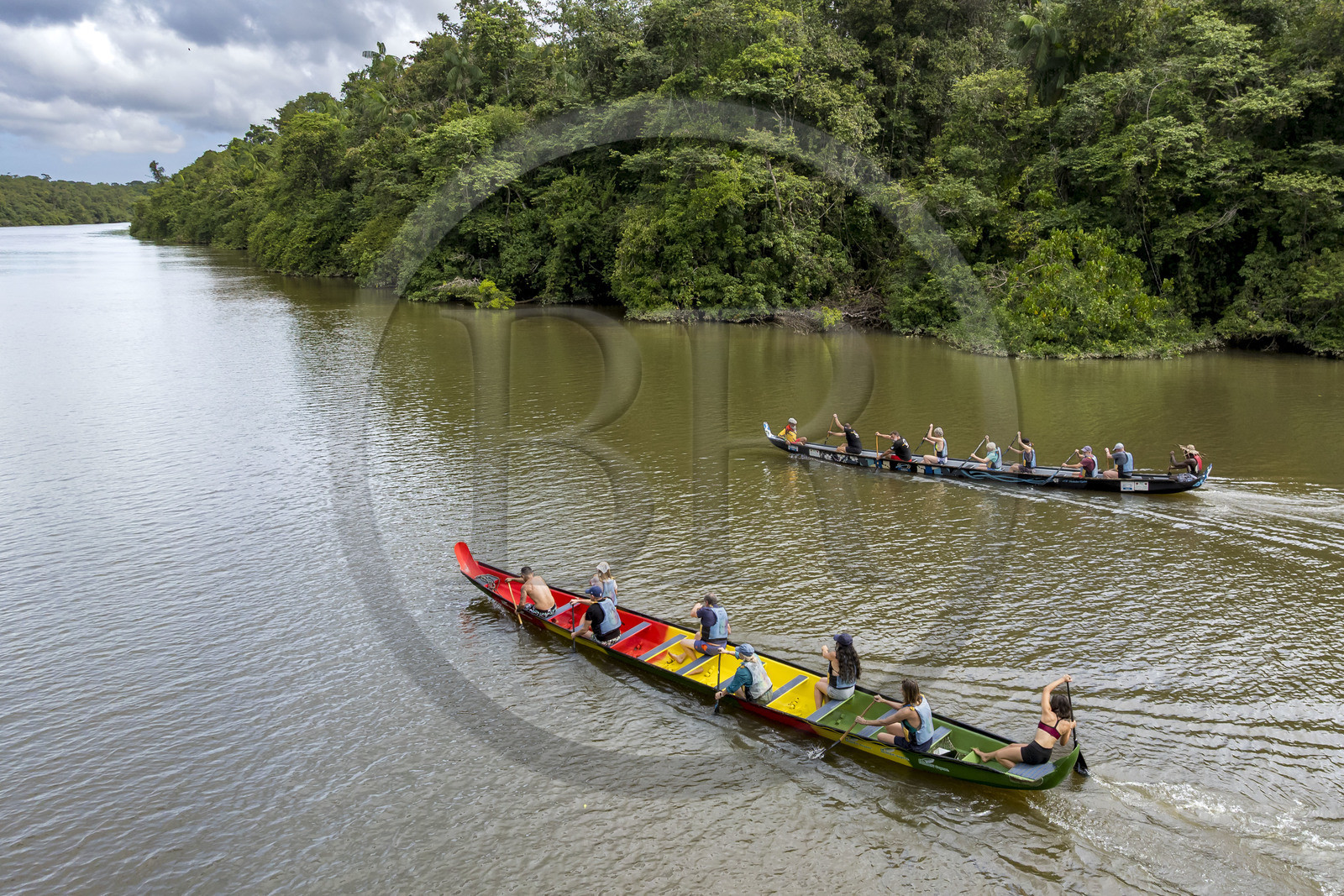 France, French Guiana, Kourou, Camp Maripas, race of two P12 pirogue (traditional Guyanese pirogue adapted in resin) on the Kourou River (aerial view)