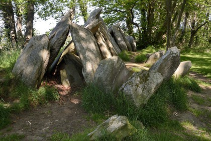 France, Finistere, Poullan-sur-Mer, gallery grave of Lesconil