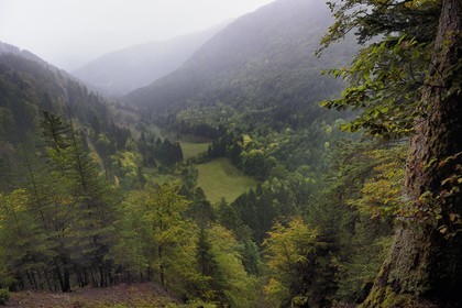 France, Haut Rhin, Ballons des Vosges Regional Natural Park, the Storckensohn valley West of Fellering