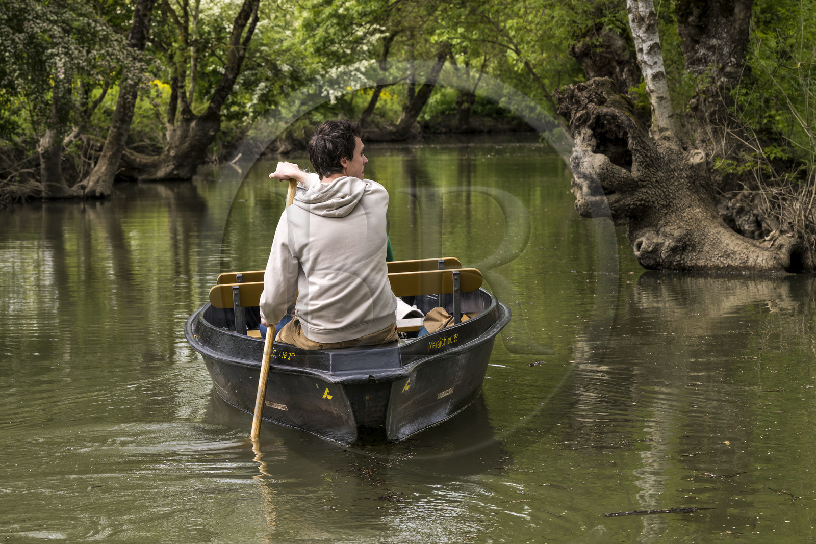 France, Vendee, Parc Interregional du Marais Poitevin labellised Grand Site de France (Interregional Park of the Marais Poitevin labelled Great Site of France), Maillezais, boat trip with a boatman on the tributaries of the Autise river