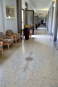 France, Allier (03), Vichy, Thermes des Dômes ou ancien Grand Établissement thermal, Art Deco mosaic on the floor