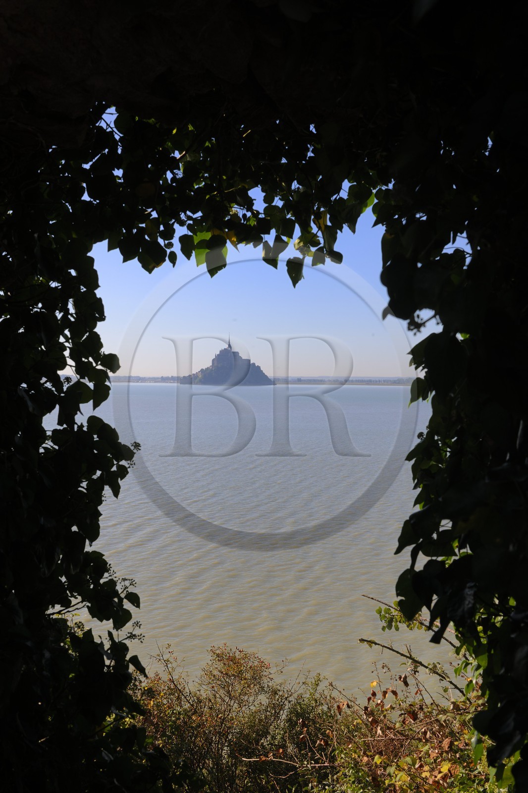 France, Manche (50), Baie du Mont-Saint-Michel, le Mont vu depuis l'ile de Tombelaine