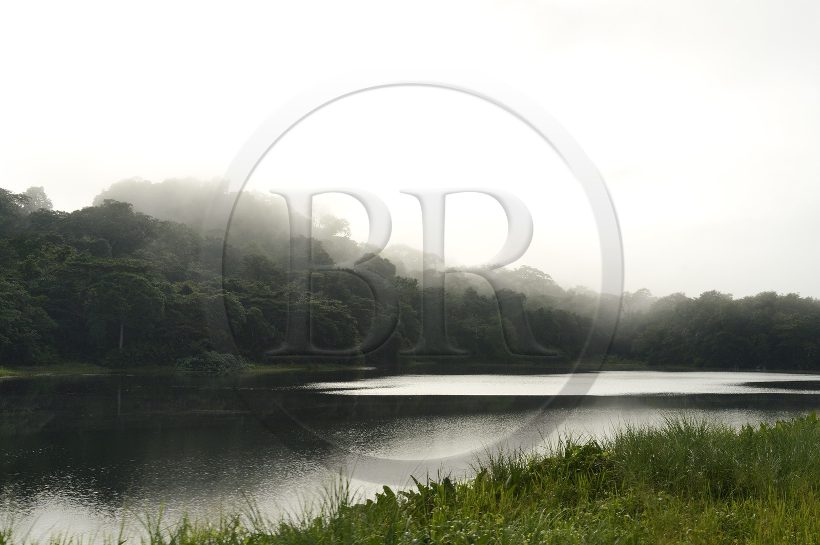 Panama, l'isthme de Panama entre Panama City et Colon le long de la ligne de train de la Panama Canal Railway