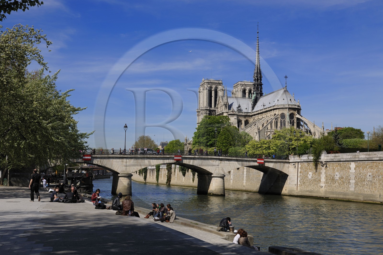 France, Paris (75), les rives de la Seine classées Patrimoine Mondial de l'UNESCO et la cathédrale Notre Dame sur l'île de la Cité depuis le quai de la Tournelle