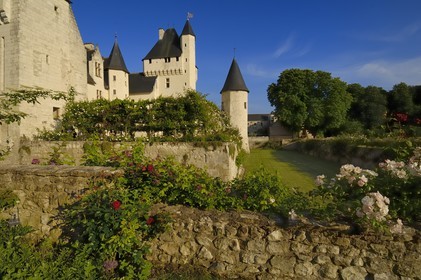 France, Indre et Loire (37), château du Rivau