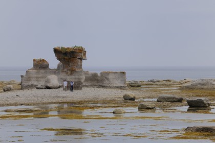 Canada, province du Québec, Côte Nord, Havre-Saint-Pierre, le Parc National Archipel de Mingan dans le golfe du Saint Laurent, monolithes calcaire surnommés Pots de Fleurs
