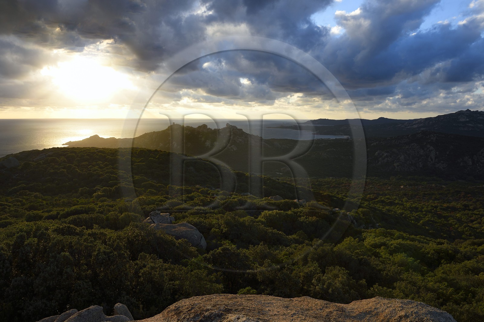 France, Corse du Sud, Cala de Roccapina natural site, genoese tower and Lion rock