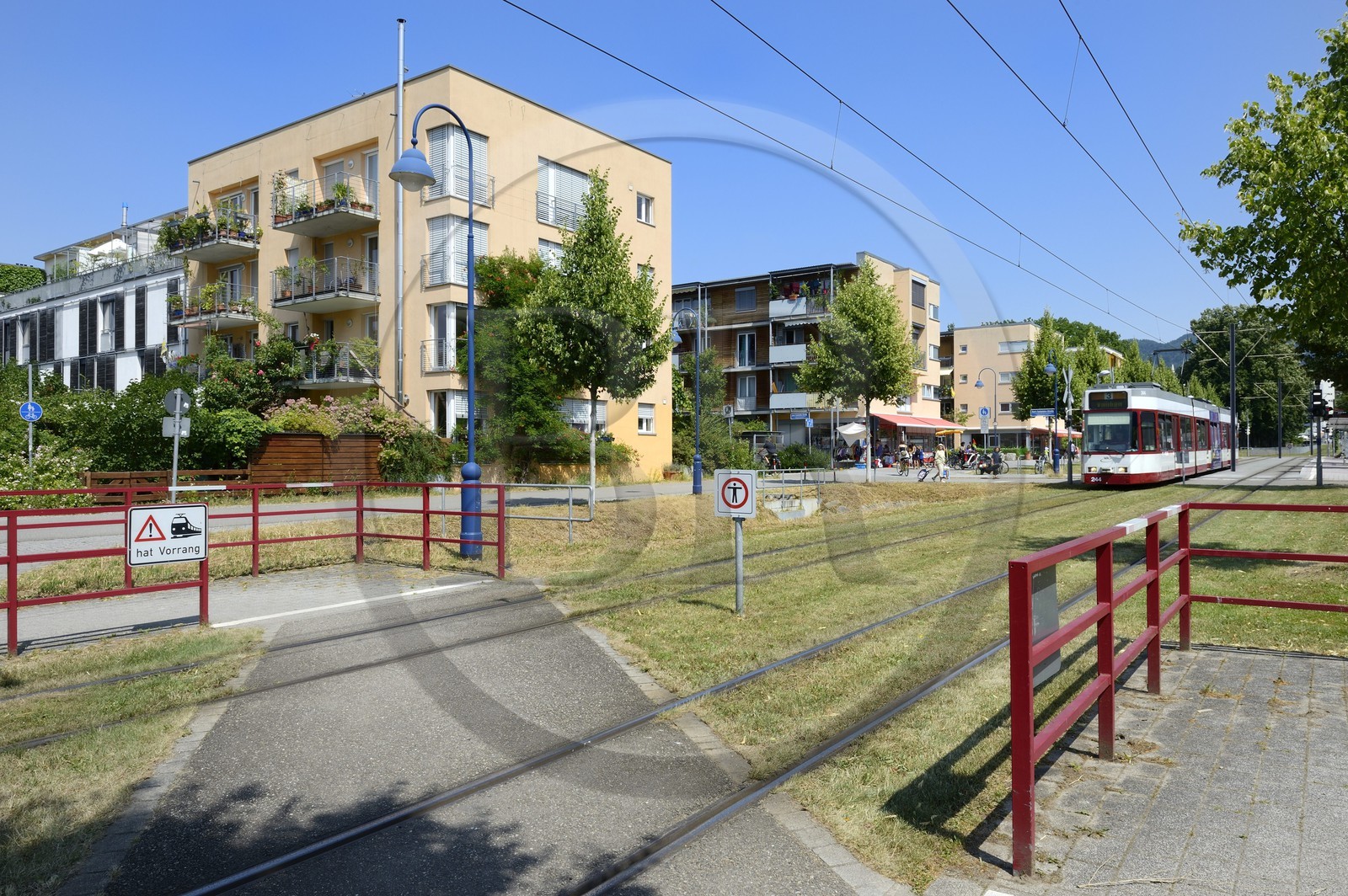 Allemagne, Bade-Wurtemberg, Fribourg en Brisgau, quartier écologique Vauban, le tram