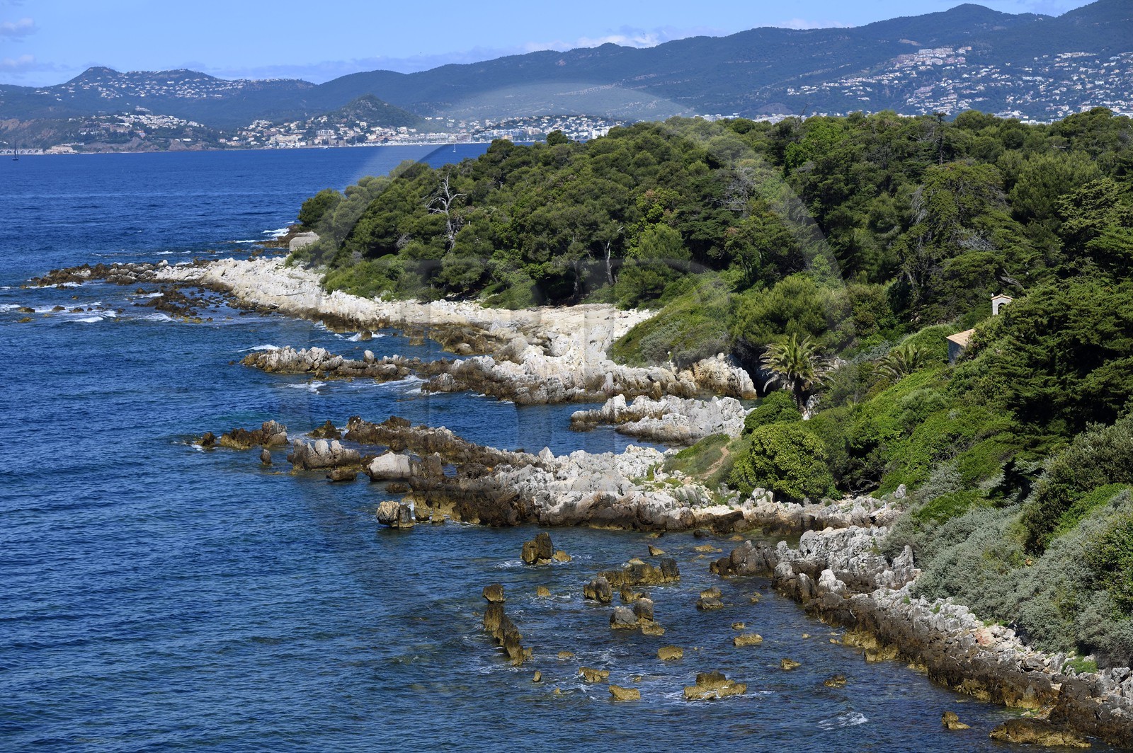 France, Alpes-Maritimes (06), Cannes, Iles de Lérins, Ile de Saint-Honorat