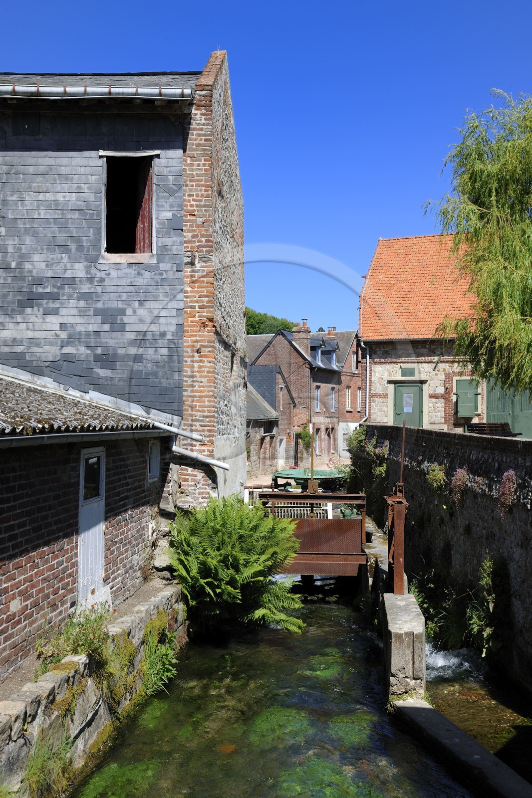 France, Seine-Maritime (76), le village de Veules-les-Roses est traversé par la Veules fleuve célèbre pour la faible longueur de son cours (1 100 m), le moulin du marché