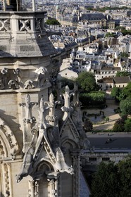 France, Paris (75), île de la Cité, la cathédrale Notre-Dame