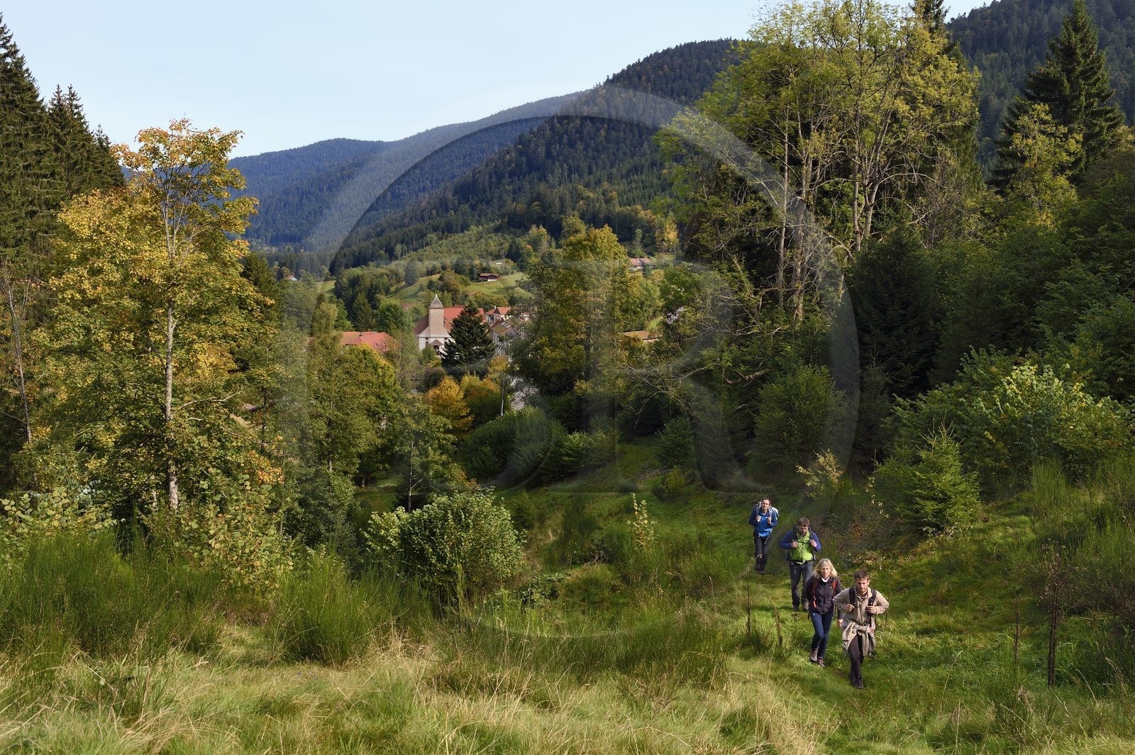 France, Vosges (88), Le Valtin, randonnée dans la vallée du Valtin dans la haute-vallée de la Meurthe sur le sentier des panoramas du Valtin