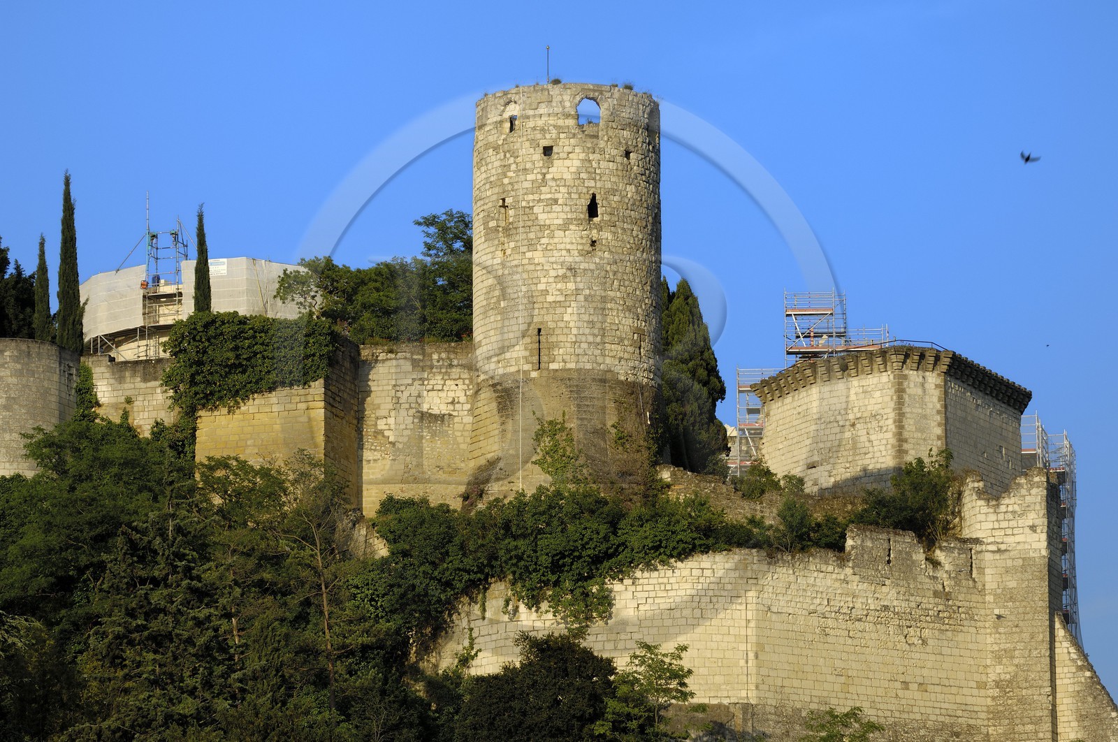 France, Indre et Loire (37), Vallée de la Loire classée Patrimoine Mondial de l' UNESCO, Chinon, le château, la Tour du Moulin