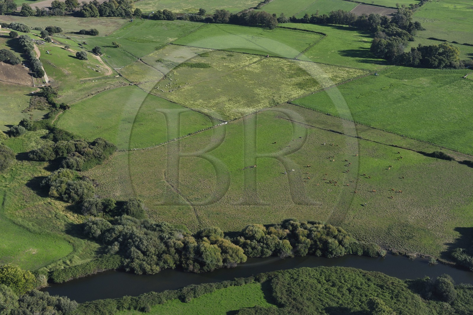 France, Corse-du-Sud (2A), région d'Ajaccio, la rivière Prunelli vers son embouchure (vue aérienne)