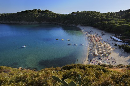 Italie, Toscane, l’Ile d’Elbe, plage de Fetovaia sur la cote Sud
