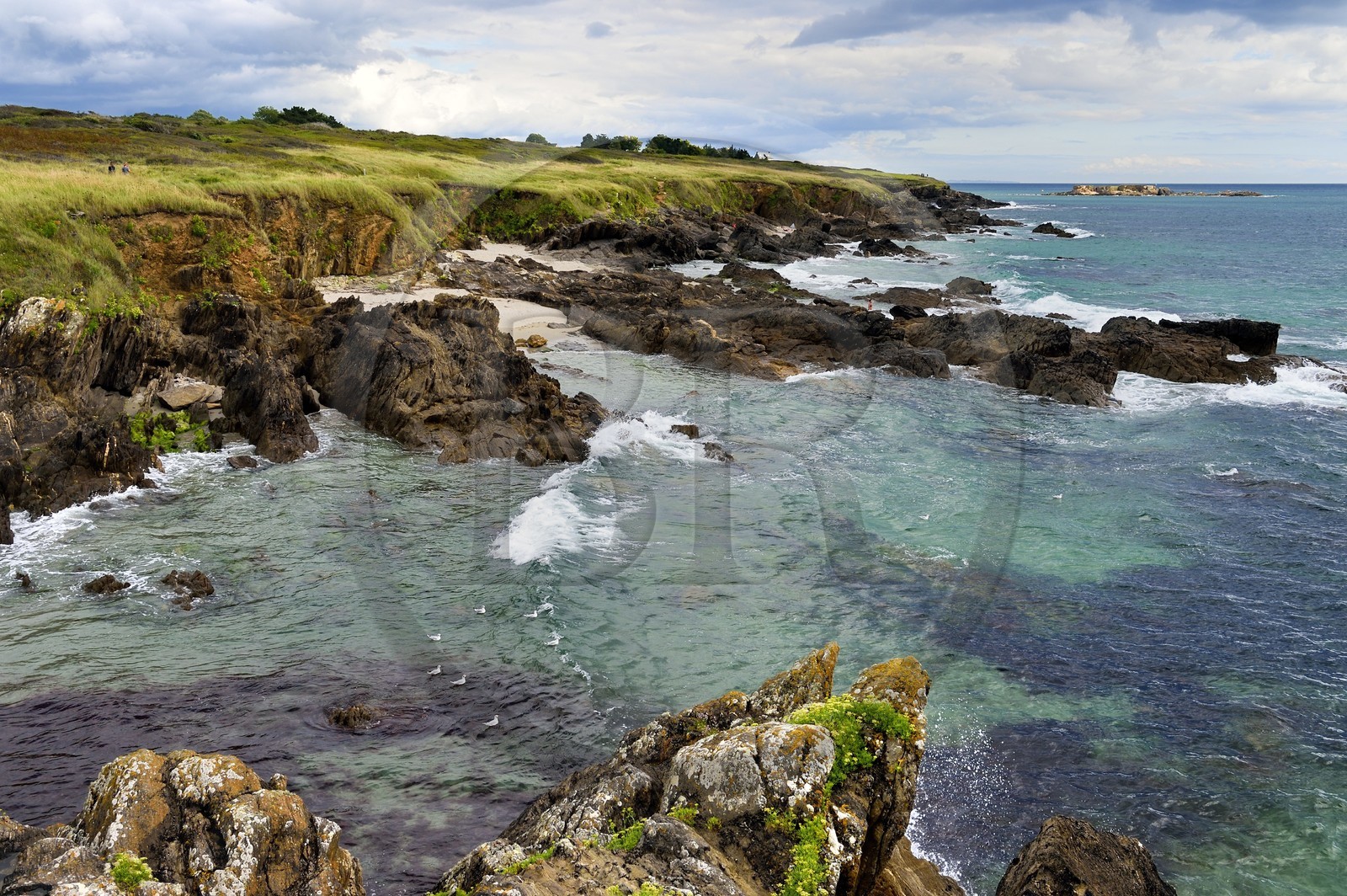 France, Finistere (29), Moelan sur Mer, the coast between Kerfany les Pins and the beach of Trenez along the GR 34 hiking trail or sentier des douaniers (customs trail)