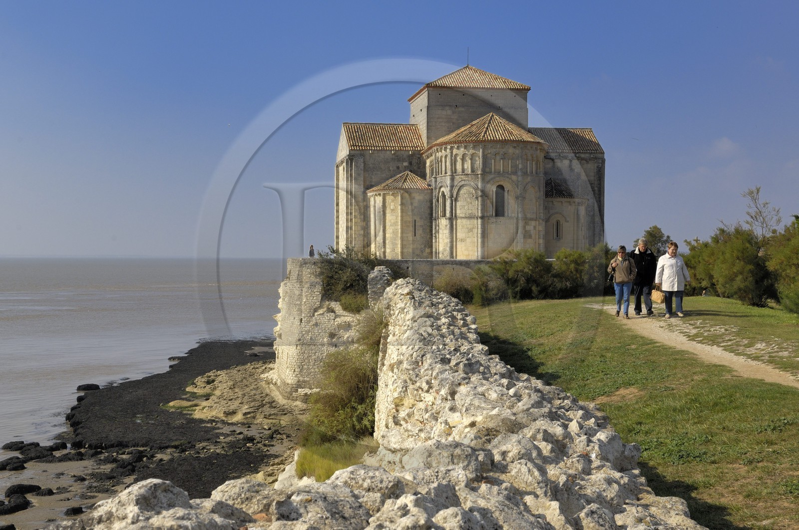 France, Charente-Maritime (17), Talmont-sur-Gironde, labelisé Les plus beaux Village de France, église Sainte-Radegonde