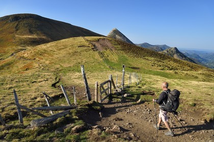 France, Cantal (15), Parc Naturel Régional des Volcans d'Auvergne, Le Lioran, col de Rombière surplombant la vallée de la Jordanne à droite, randonneur sur le chemin de Saint-Jacques de Compostelle par la Via Arverna, en arrière plan le Puy Griou émergeant