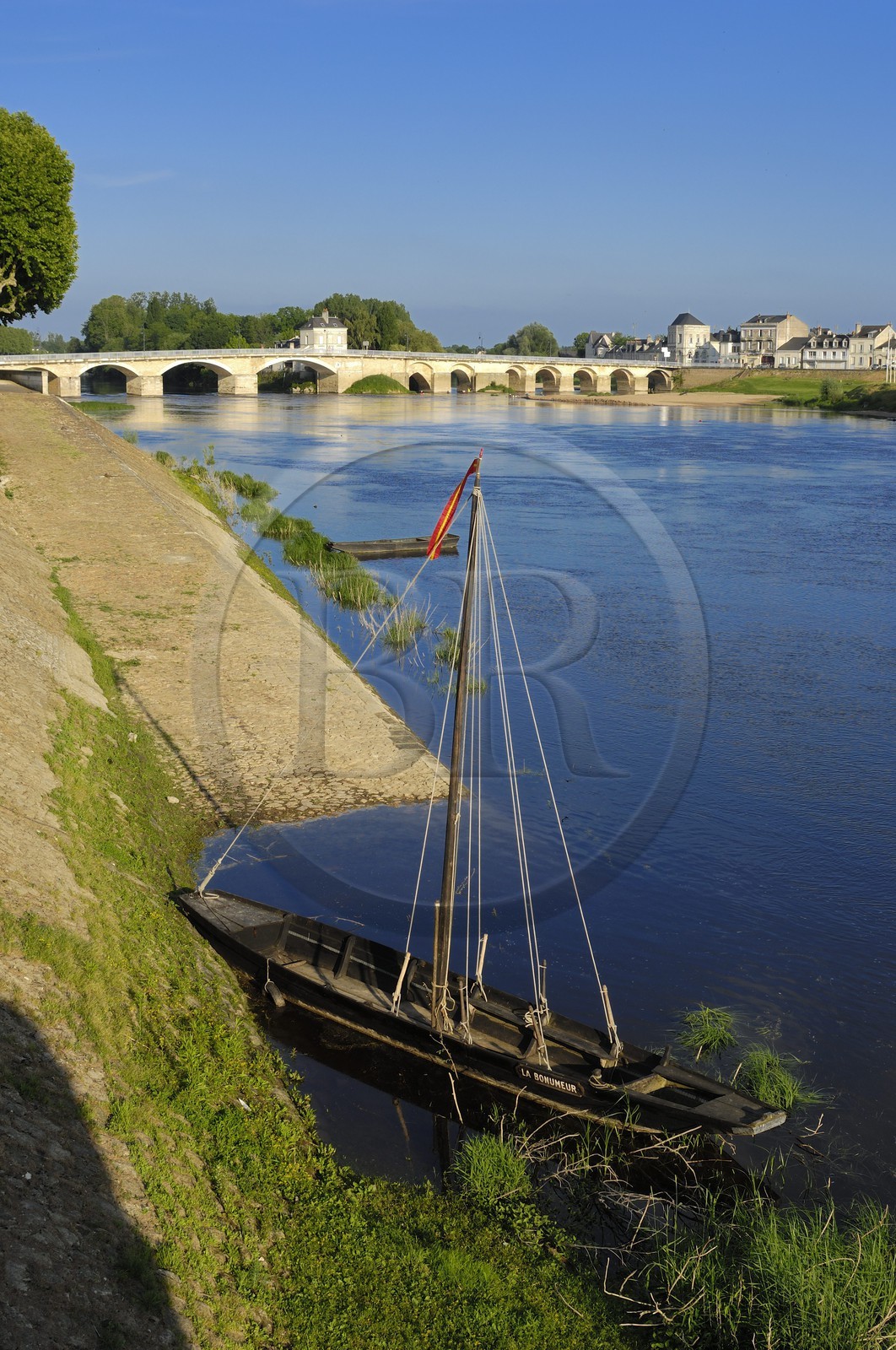 France, Indre et Loire, Loire Valley listed as World Heritage by UNESCO, Chinon, the Saint Jacques Bridge on the Vienne river