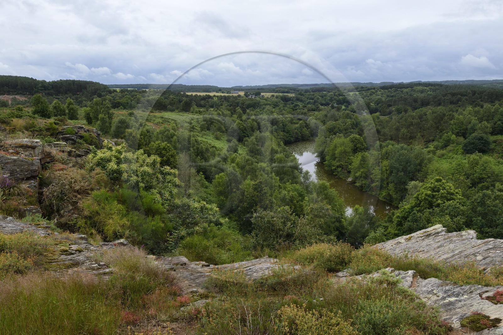 France, Ille-et-Vilaine (35), Saint-Just, la Lande de Cojoux, etang du Val alimenté par la rivière le Canut