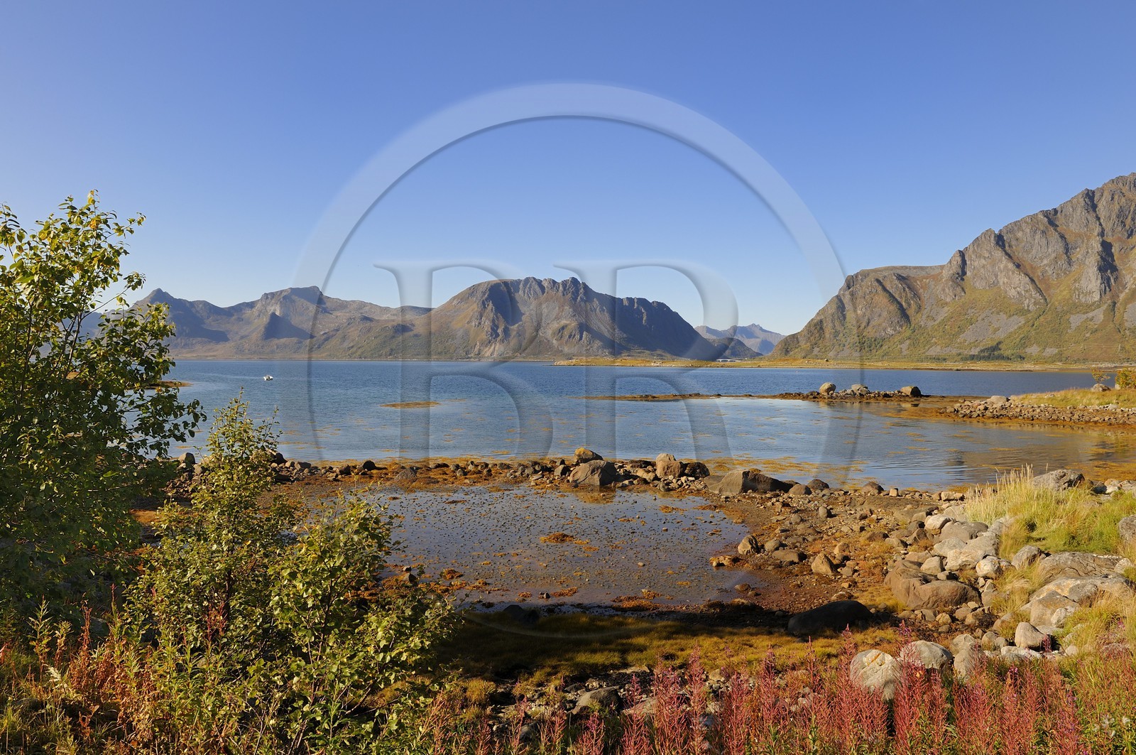 Norvège, Nordland, Iles Lofoten, vue sur l'ile de Vestvagoy depuis Vagan
