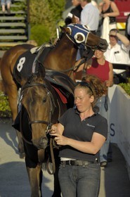 Irlande, Co. Meath, hippodrome de Fairyhouse, présentation des chevaux avant la course
