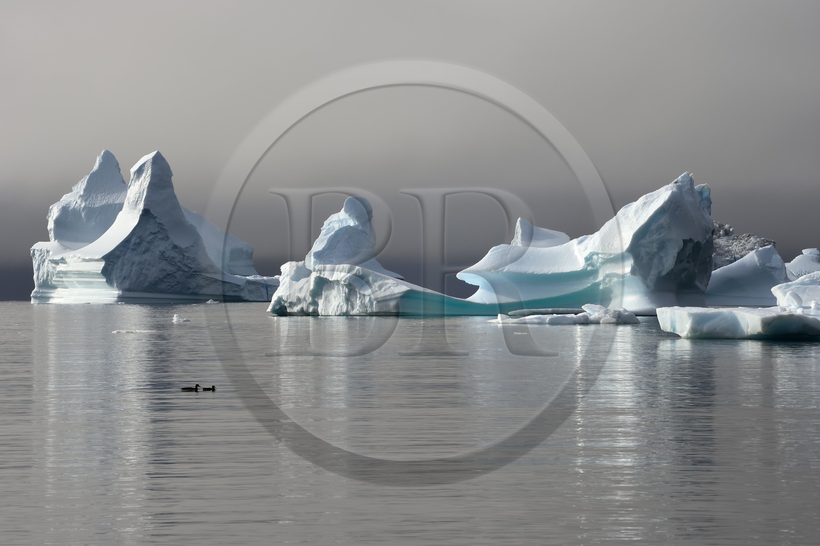 Groenland, cote ouest, Ile de Disko, baie du village de Qeqertarsuaq, icebergs dans la brume