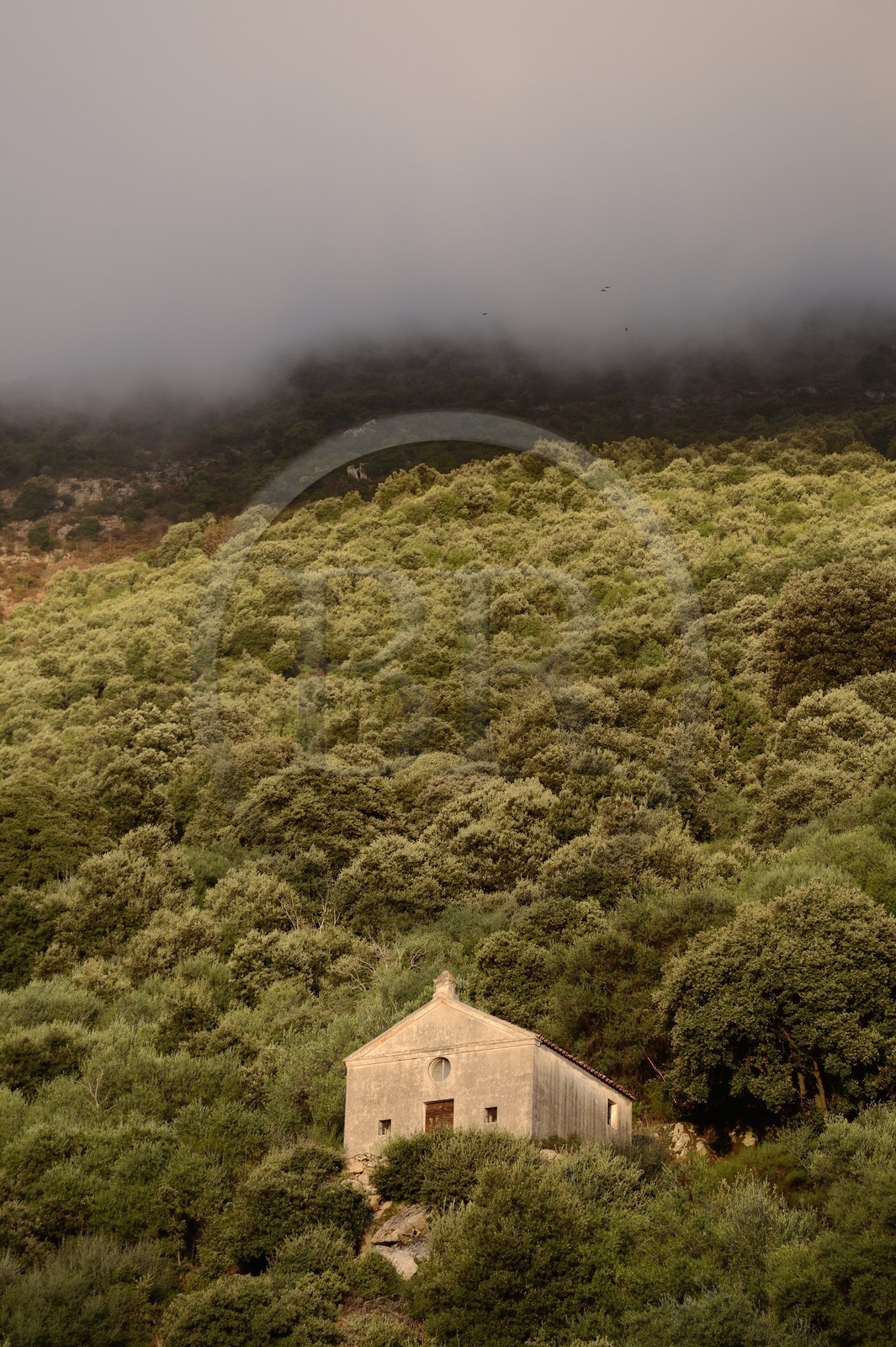 France, Corse du Sud, Sartene region, village of Fozzano
