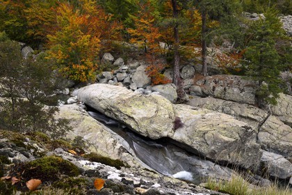 France, Haute Corse, Vivario, hiking on the GR 20, between Onda refuge and Vizzavona, Vizzavona forest, Englishmen cascades, waterfalls group in the Agnone valley