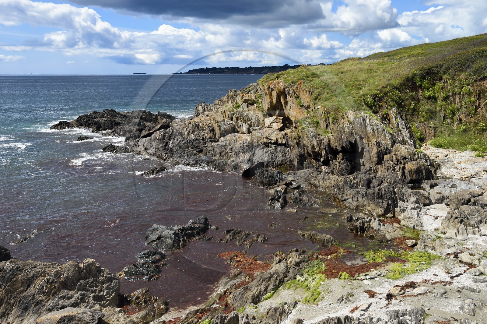 France, Finistère (29), Moelan-sur-Mer, le littoral entre Kerfany les Pins et la plage de Trenez sur le chemin de Grande Randonnée GR 34 ou sentier des douaniers