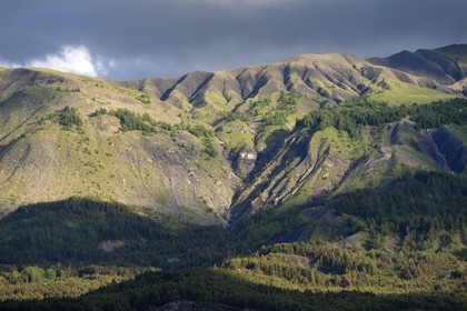 France, Alpes-de-Haute-Provence (04), vallée de l'Ubaye, montagne de Pointe Fine à l'Est de Jausiers