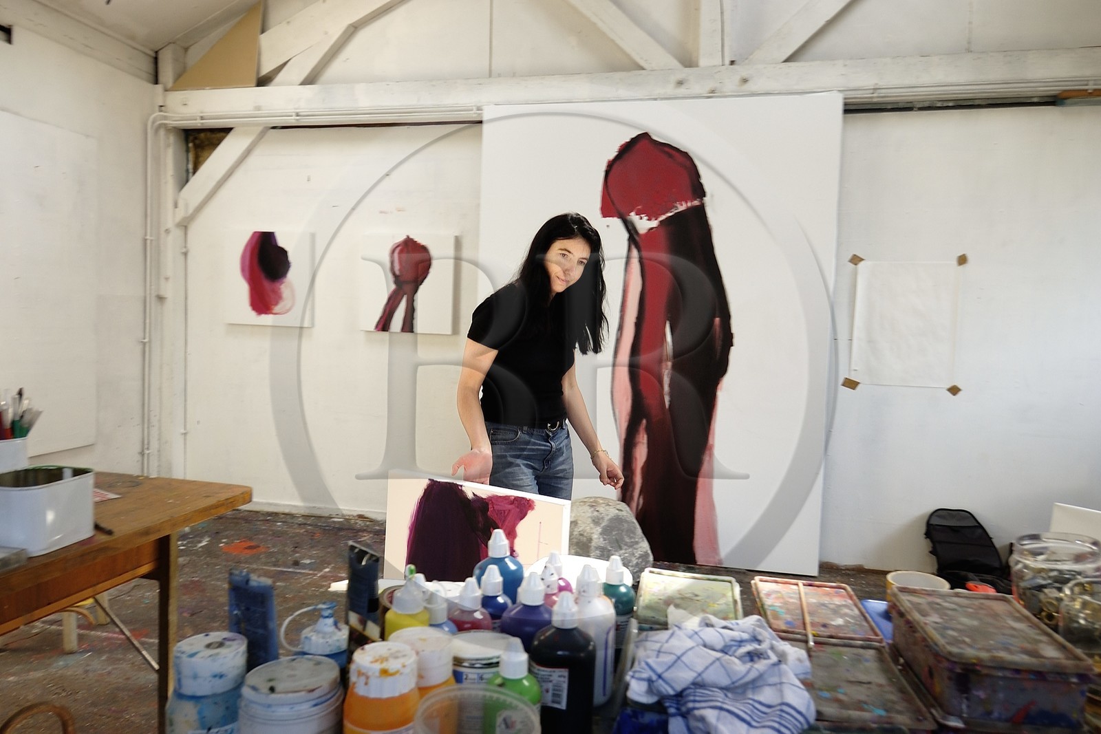 France, l'artiste peintre Nathalie Lamotte