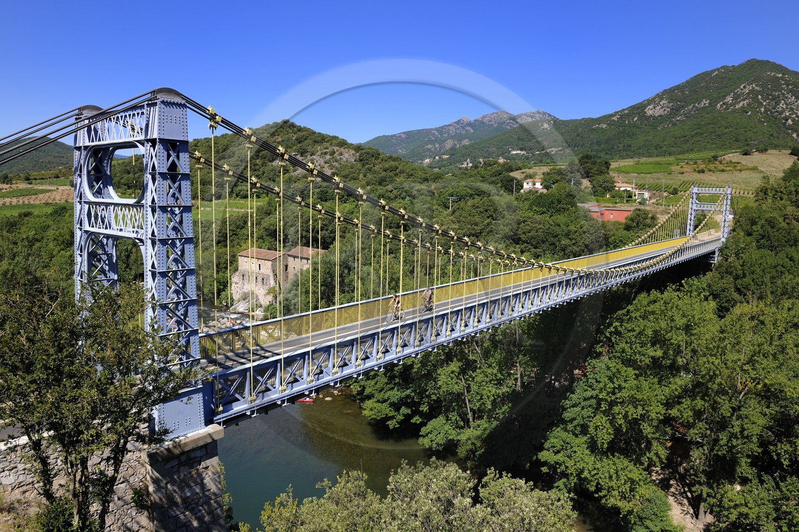 France, Herault, Orb valley, the suspension bridge over the river Orb at the moulin de Travassac next to Mons la Trivalle