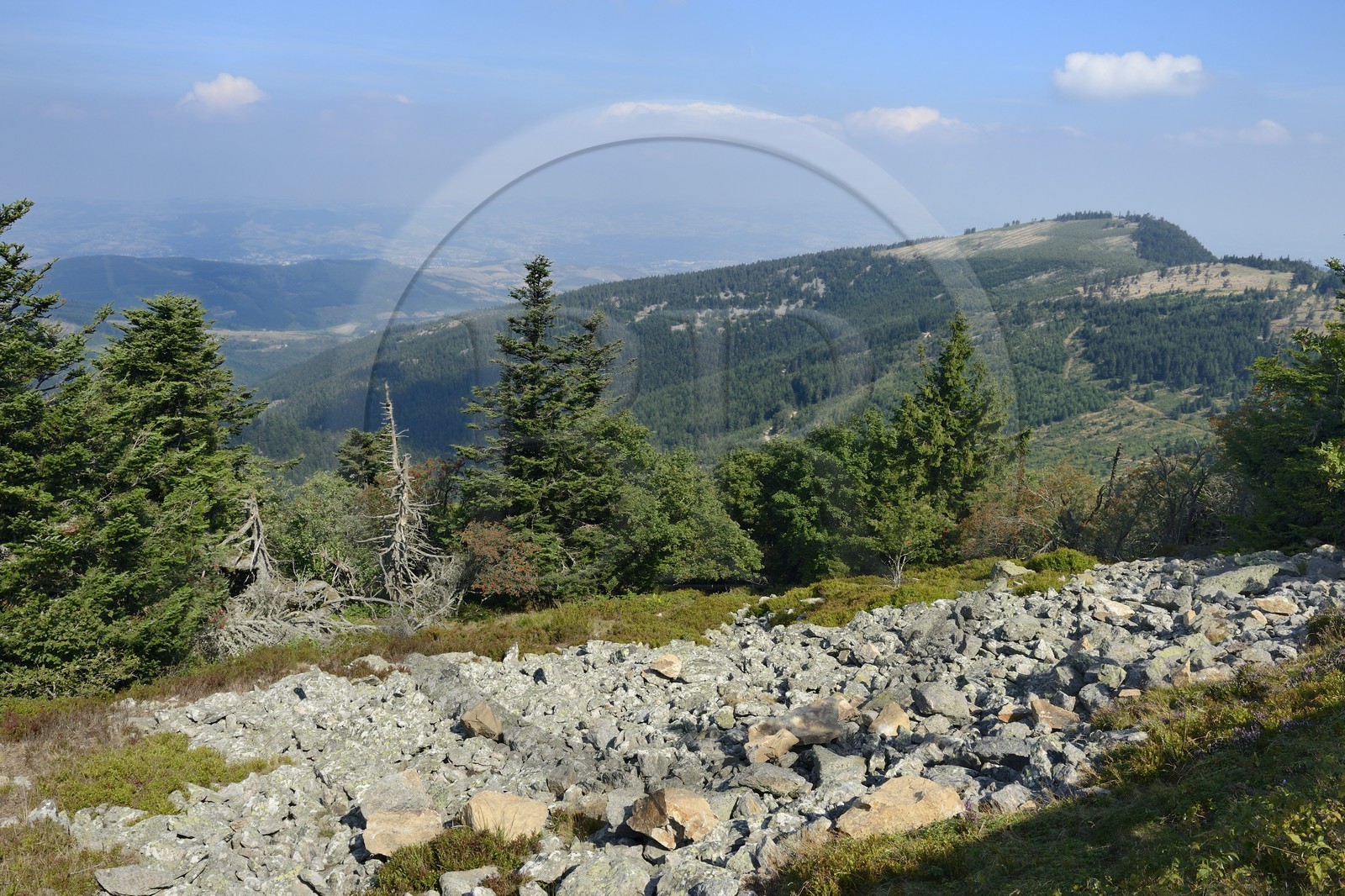 France, Loire (42), Parc Naturel Régional du Pilat, chirat (nom local donné aux coulées de blocs rocheux qui recouvrent les versants sous formes d'éboulis) au Crêt de l'Oeillon dans le massif du Pilat