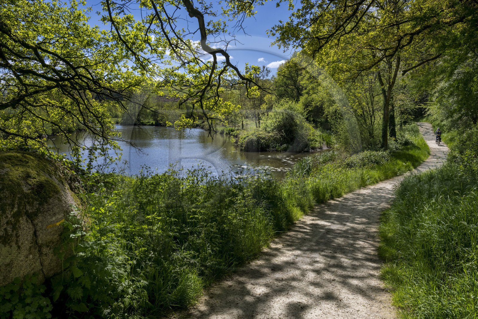 France, Vendée (85), Saint-Laurent-sur-Sèvre, randonnée cycliste sur la piste de la véloroute Vendée Vélo Tour