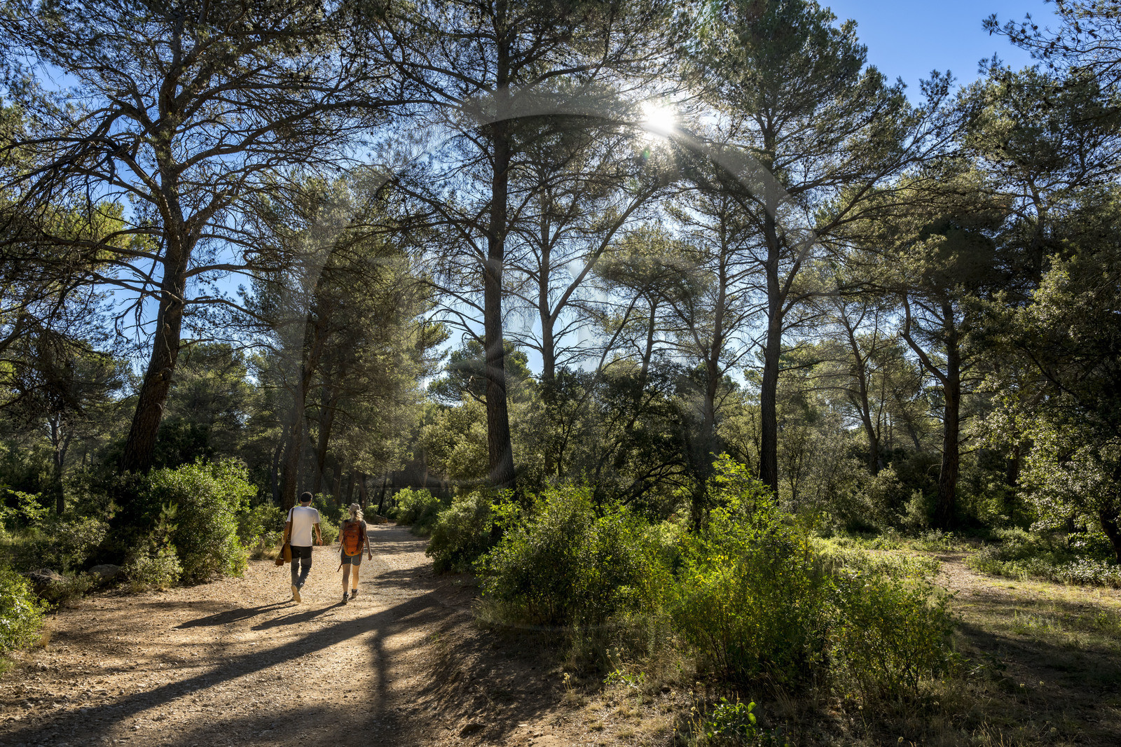 France, Bouches-du-Rhône (13), Aix en Provence, randonneurs sur le plateau de Bibemus