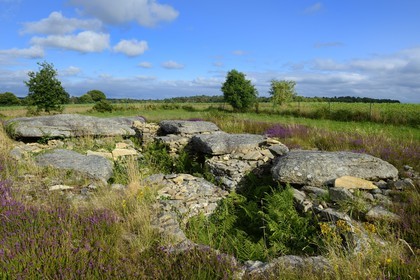 France, Morbihan, Colpo, Larcuste Dolmen