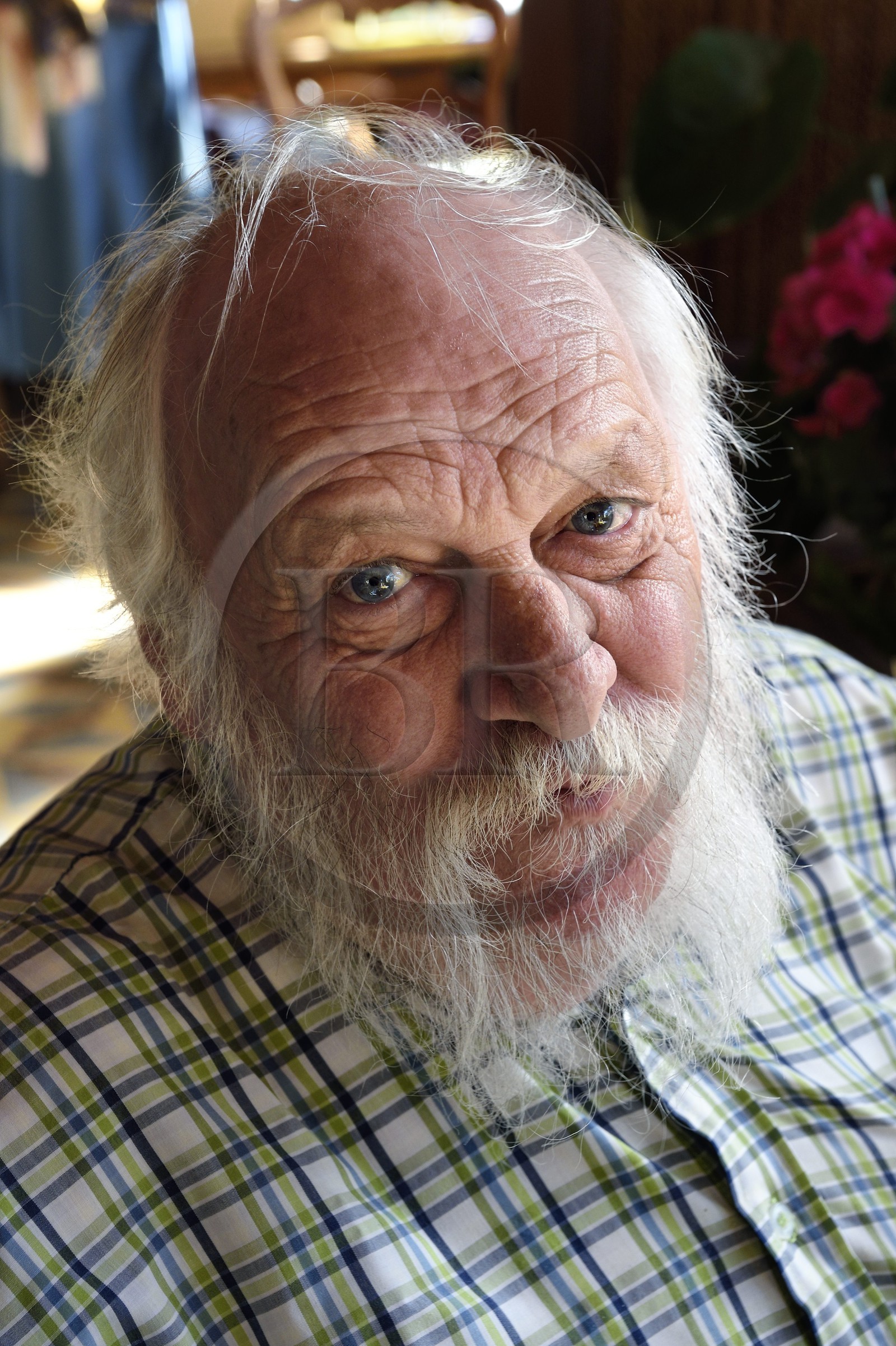 France, Seine-Maritime (76), Pays de Caux, Allouville-Bellefosse, Roger Devaux, correspondant historique du courrier Cauchois qui a tourné dans le film Le Chêne d’Allouville