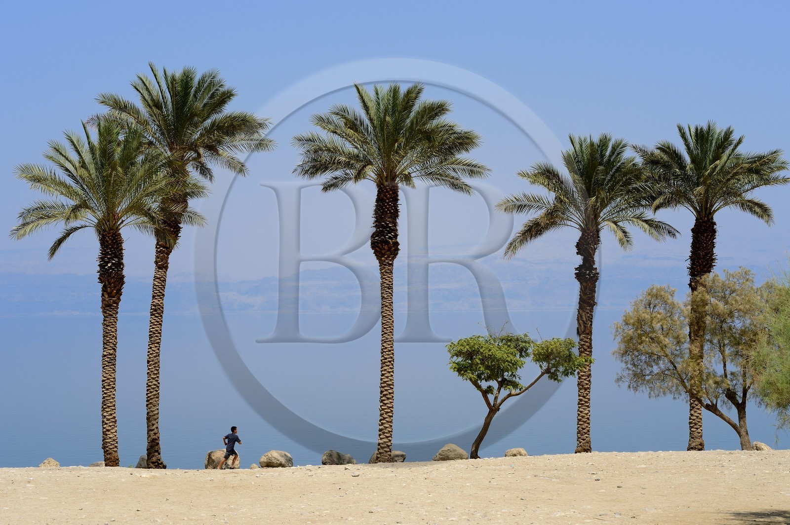 Israel, District sud,  plage de Ein Gedi sur la Mer Morte