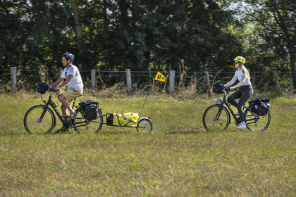 France, Maine-et-Loire, Loire valley listed as World Heritage by UNESCO, Saumur towards Saint-Hilaire, cycling on the banks of the Loire, bike with a trailer carrying camping equipment