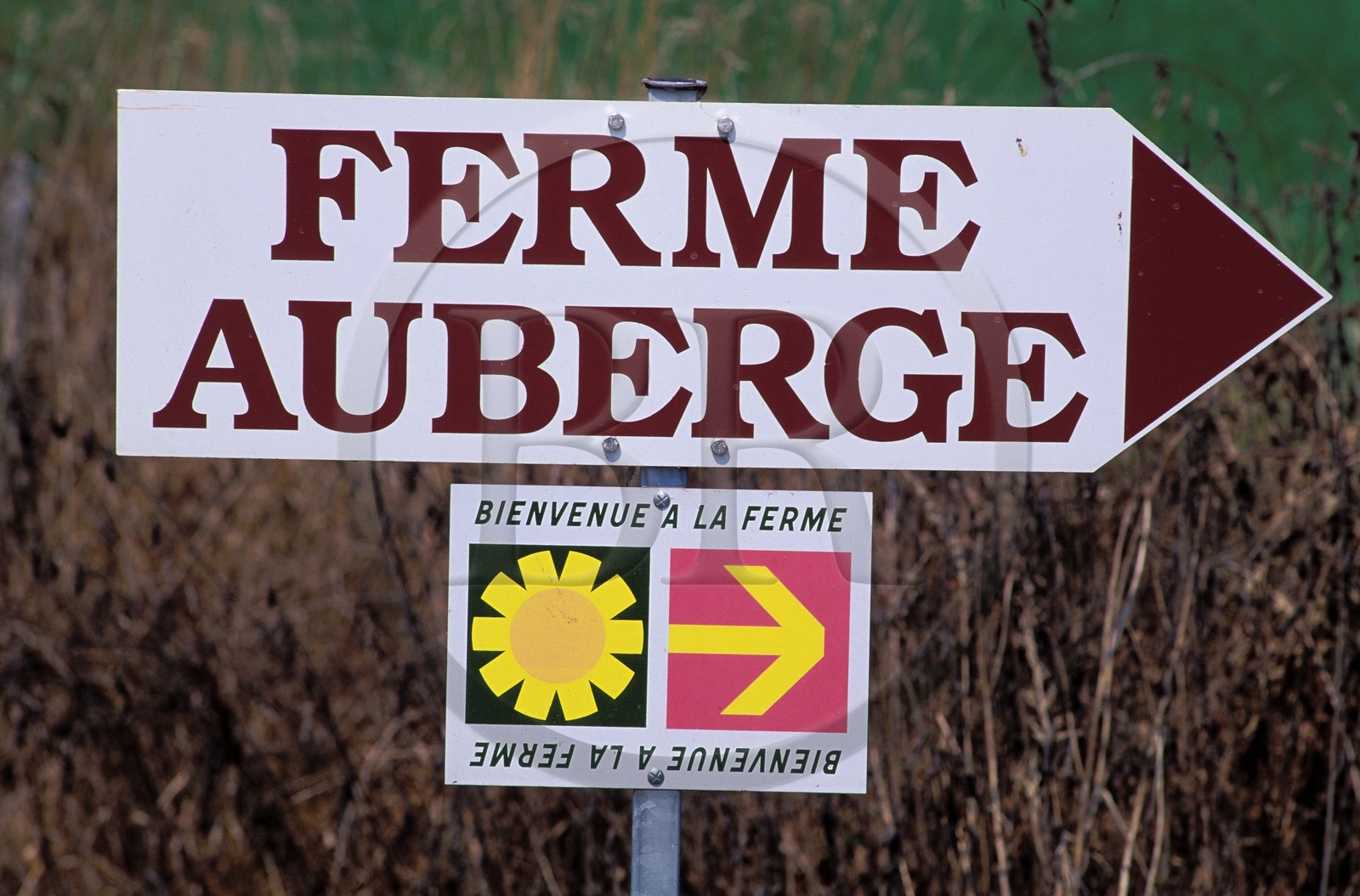 France, Hautes-Pyrénées (65), panneau indicateur de ferme-auberge à Trie-sur-Baise