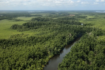 Gabon, Ogooue-Maritime Province, rivers and forests in the Ogooué River Delta (aerial view)
