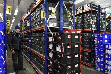 Norway, Svalbard, Spitzbergen, Longyearbyen, Svalbard Global Seed Vault (Seed Bank), seed storage room artificially maintained at -18°C, there are nearly 900000 samples deposited, from 200 countries of origin and 73 depositor institutes