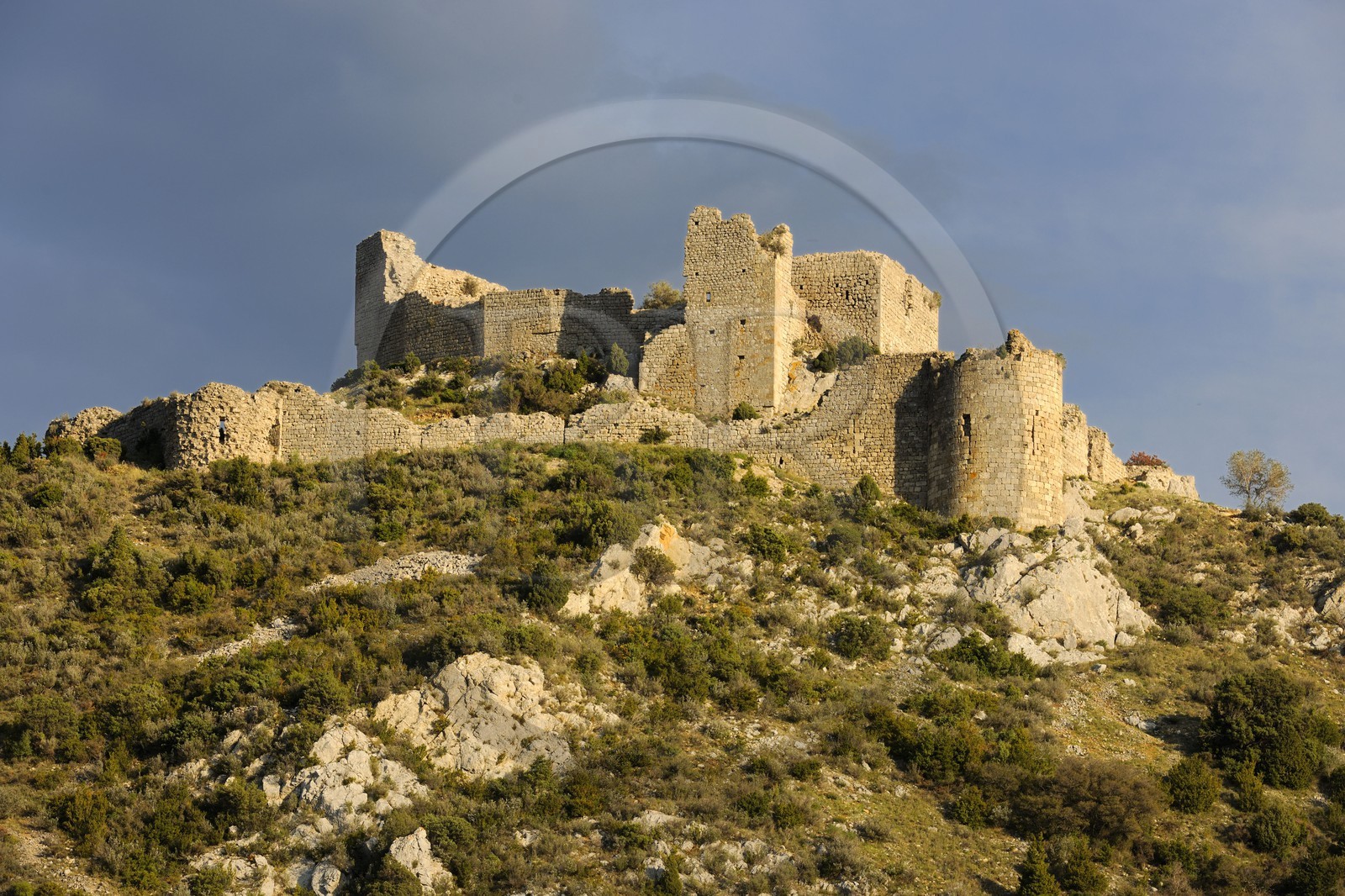 France, Aude (11), ruines du château cathare d’Aguillar dans les Corbières